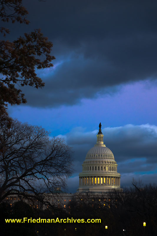 congress,senators,house,government,U.S.,united states,icon,washington,D.C.,lawmakers,dusk,dawn,blue,sky,trees,branches,